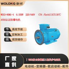 WEX3-80M1-4  0.55KW  220/440V  CT4 /ExtbIIICT130℃ ATEX认证