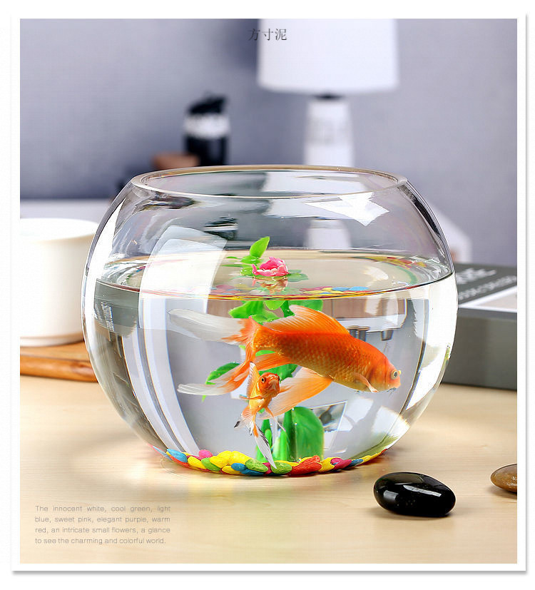 15b038c0-51bd-4e73-913a-a24f5ae5f3f1.jpe