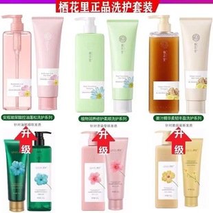 Light vegetarian huazhi shampoo plant repair bottle hyaluronic acid oil control ginger juice anti-off washing and protection suit