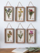 ins��@�L��͹Ō�ľ�ɻ�����b�ֲ����Ƭ���������ڒ쮋���W