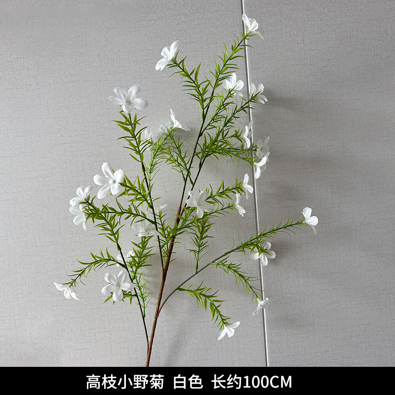 Wind chrysanthemum
