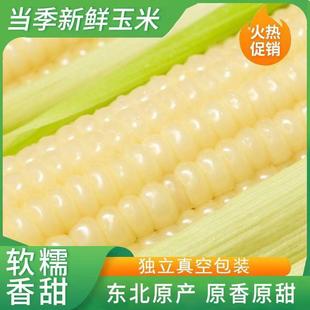 �����װ��|��ճŴ������հ��b��ͼ�ʳ����һ����5��8��10��