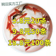 tt���~���~���~��ˮ�^�p�~�J���~���~�~ʳС���~��