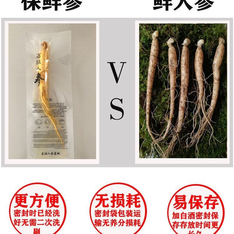 【鮮度保持高麗人参】長白山高麗人参丸ごと卸売個包装ワイン浸漬高麗人参工場直送|undefined
