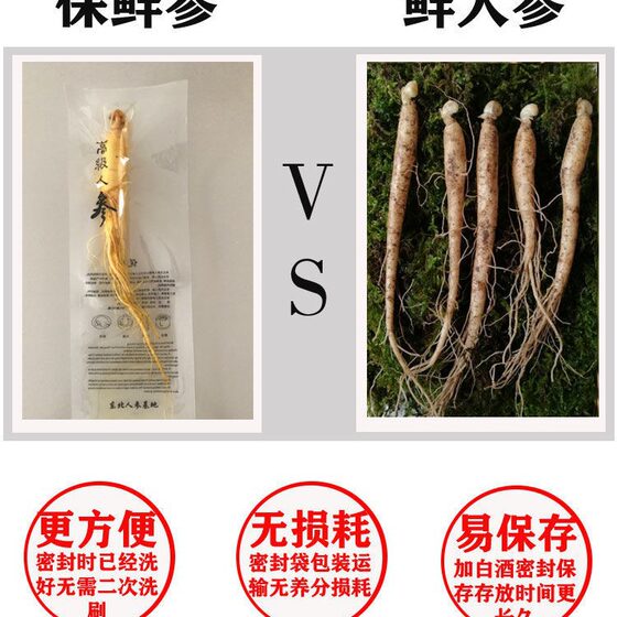 [Preserved Ginseng] Changbai Mountain Ginseng Whole Root Wholesale Individually Packaged Ginseng for Soaking in Wine Factory Direct Delivery