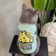 蓝猫夏季衣服防掉毛猫咪吊带背心英短布偶猫宠物泰迪狗狗夏装薄款