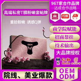 美业院线高端女性私密t膜粉嫩水润spa套去黑色素水润补水套盒贴牌