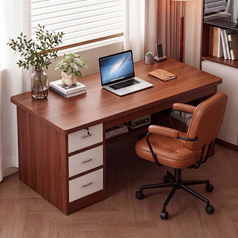 Computer Desk for Home Use, Small Apartment, Simple Modern Student Study Desk, Simple Office Desk with Integrated Storage Cabinet
