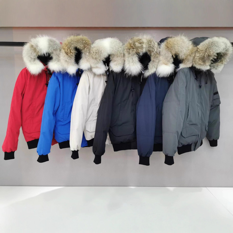 Chilliwack Goose down Jacket 01 Bomber Jacket 7999m Wyndham High Quality