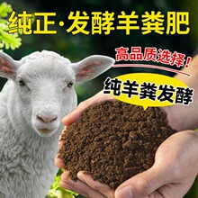 腐熟羊粪发酵有机肥料蔬菜专用家用养花通用底肥营养土农家肥鸡粪