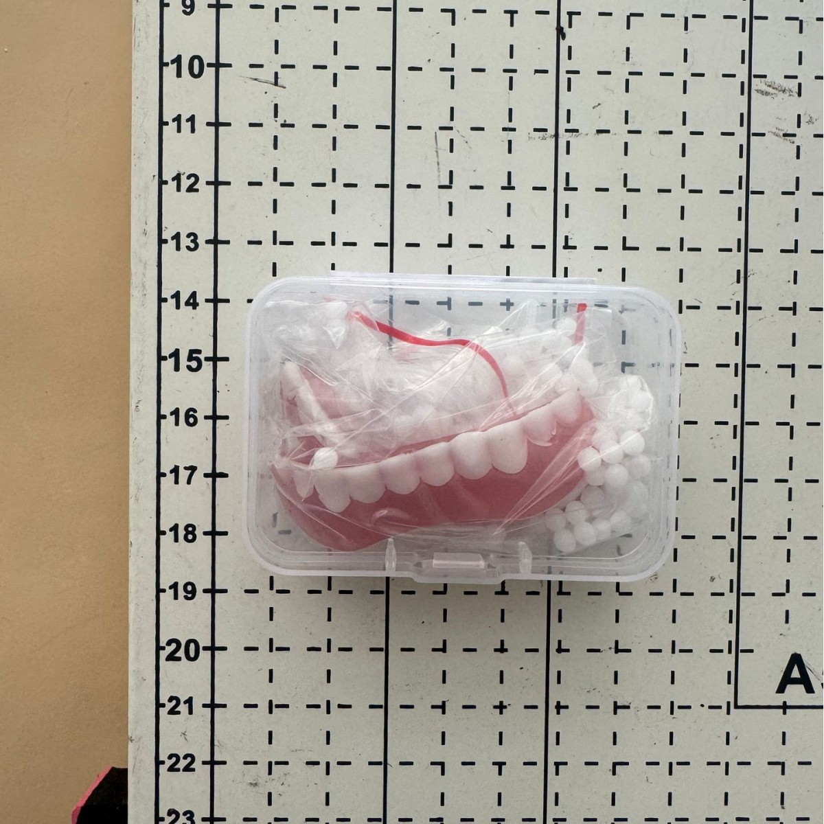 2025-03-22 18:35:51.jpg