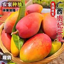 �V���F��â���râ��������ˮ��������t��������â����â�������