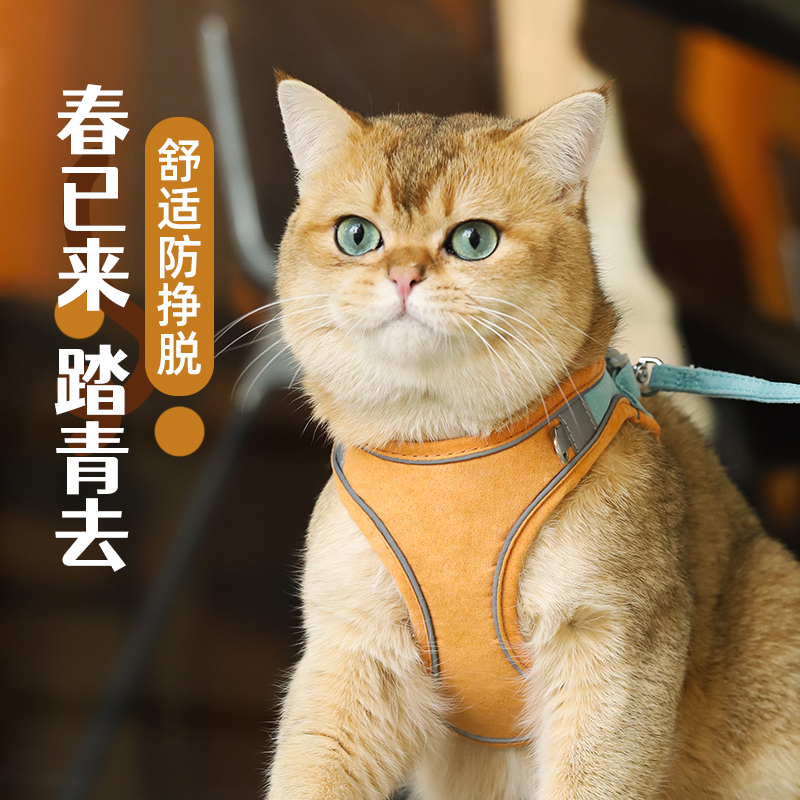 猫咪牵引绳背心式衣服胸背带防挣脱遛猫绳子猫链溜猫宠物猫猫