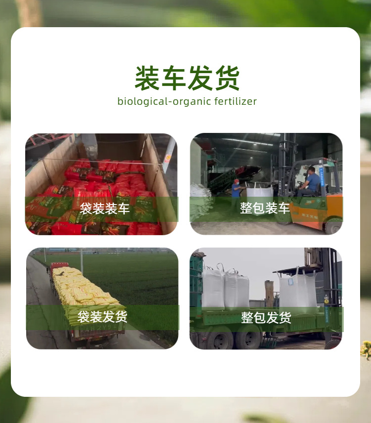 12机播 颗粒微生物菌肥详情页