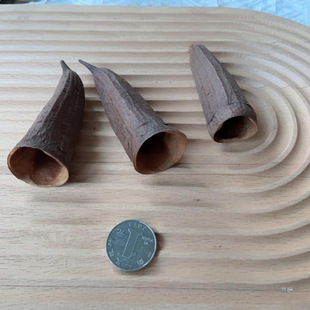 �M��������¡�ɹ��[�ؐ���˱��Ĕz����ֲ����׶U���쾰�b���