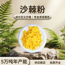 沙棘果粉 黄色粉末 易溶于水 沙棘果香 干燥避光储存 现货批发