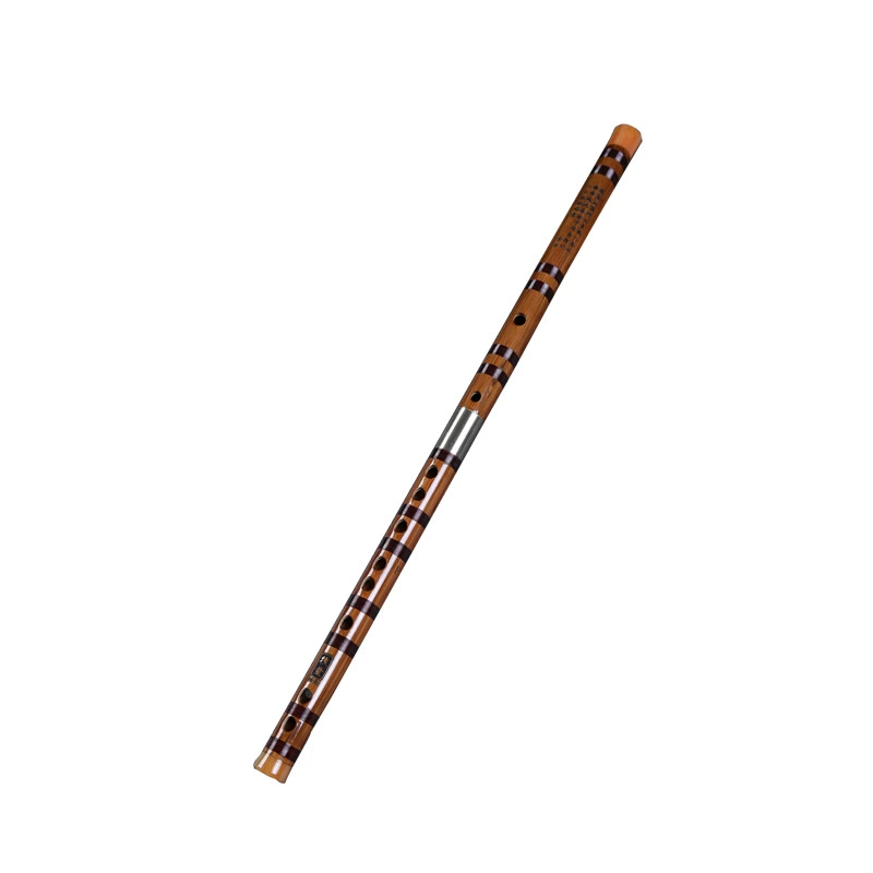 Professional base musical instruments for beginners for adults for students