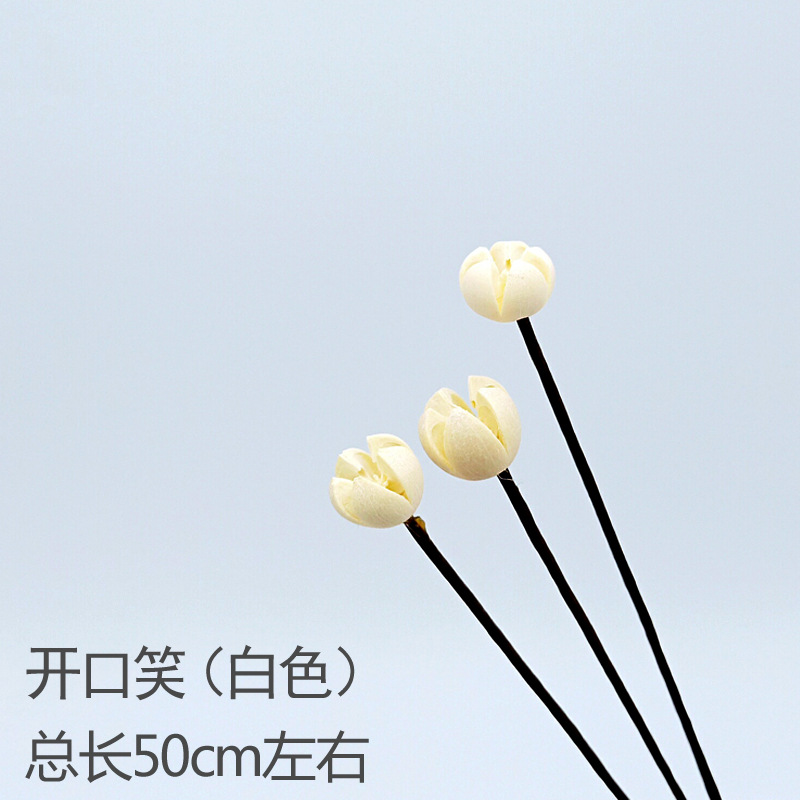 화이트 화이트 스마일 3개입