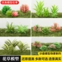 多肉景观植物迷你模型