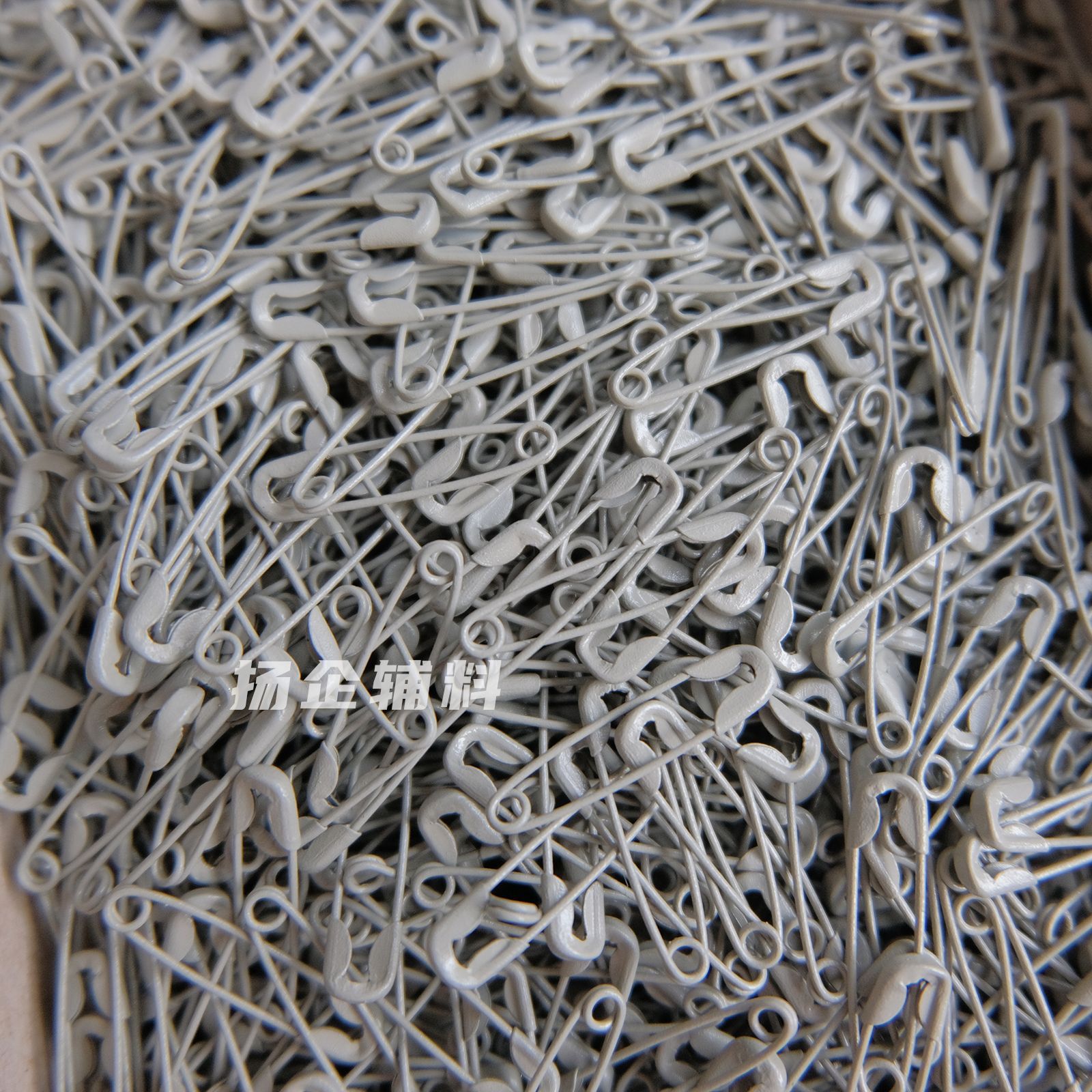 DSCF0209_看图王.jpg
