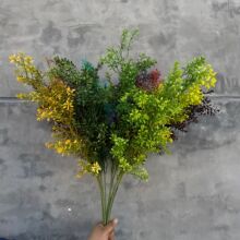 ����GֲС�����滨�ٻ�����Y��c�Ҿ��b�ܛ�b����С�ݔ[�����l