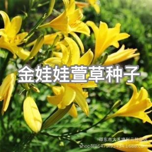 ��������ݷN�ӻ��ܷN����ݷN�ӽ�������ݷN�Ӽt�\�t�����