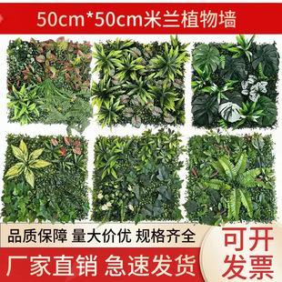 �羳����ֲ������bG���ٲ�Ƥ�������m��ƺ�ٻ����̈��쾰