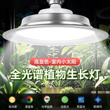 ȫ���V�Gֲ���a��������҃ȶ������绨�ܹ����̨����led���L��