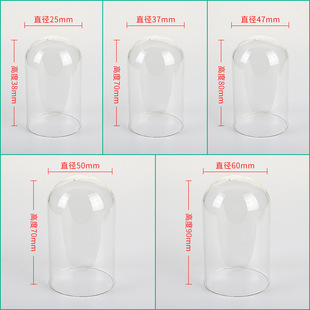 Eternal Flower Glass Cover Custom Display Box Hand Mold Cover Transparent Desktop Decoration Home Creative Decoration