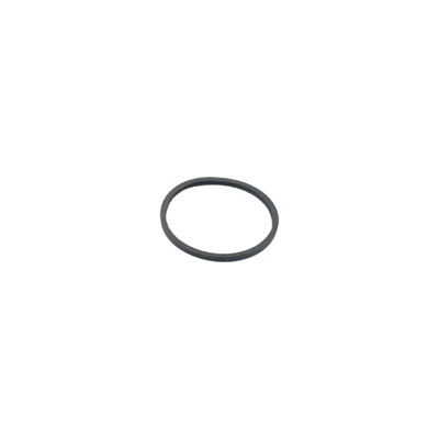 Ring, Thermostat