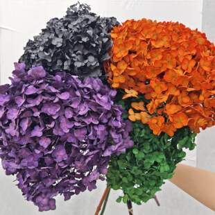 ������С�~���Ƚ����֧��ɫ���r������DIY�͏d����ֱ���[��