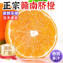 �����M���M��Ě�ȑ���ˮ������������r���ʮ���b�ǐ��¹�����38