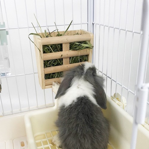 Rabbit grass rack wooden built-in fixed food bowl grass rack two-in-one guinea pig and chinchilla food box