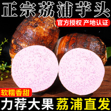 广西荔浦芋头新鲜香芋小芋头旗舰店现挖槟榔芋毛芋艿9斤包邮5