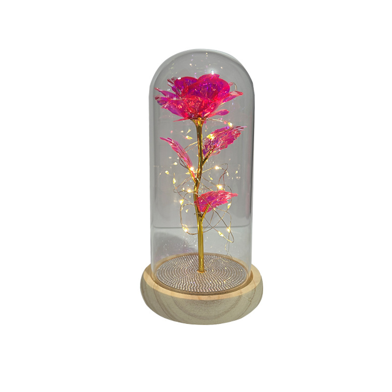 Adorno de cúpula de cristal con flor preservada, rosa seca en caja de regalo, regalo creativo para el Día de San Valentín, Navidad, para novia