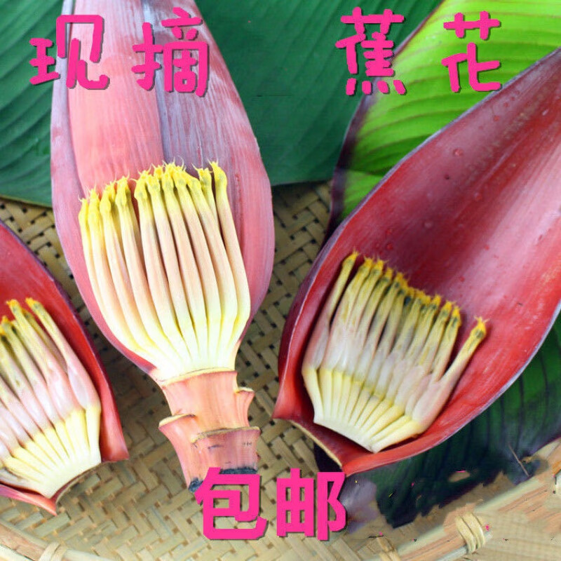 广西新鲜野生芭蕉花香蕉花价格实惠食用绿色蔬菜当天采摘发货芭蕉