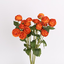 С���·��滨С¶���ҾӲ���װ�λ�����������������Ӱ���߻�ëݹ