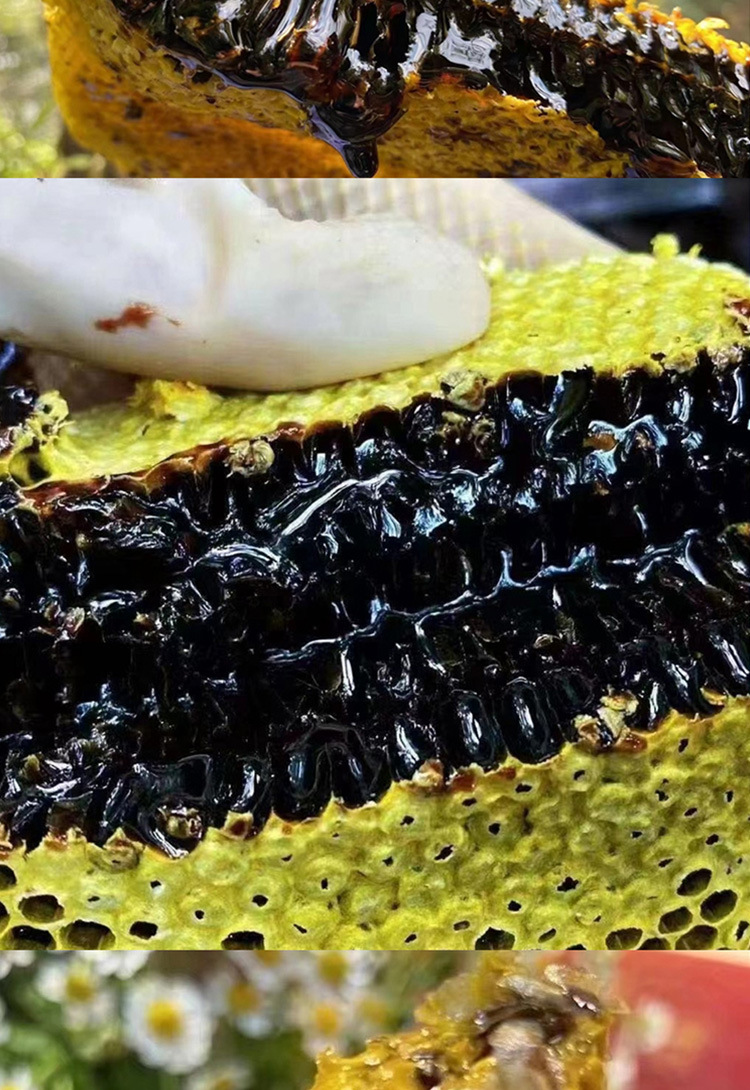Yunnan Black Honey Raw Honeycomb Honey 500g Jar Wildflower Honey specifications