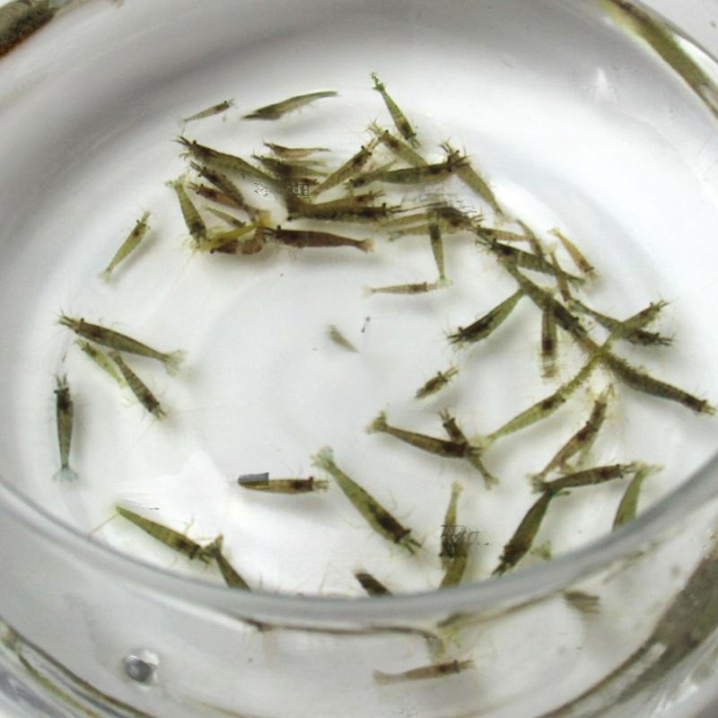 O1CN01UtcgkO278TM9b1F6d_!!2219788427752-