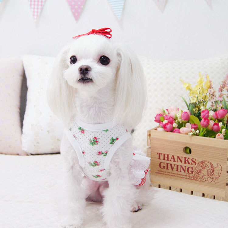 Nuevo perro gato mascota princesa vestido de boda pequeño Rosa Primavera Verano otoño nuevo suministros Teddy