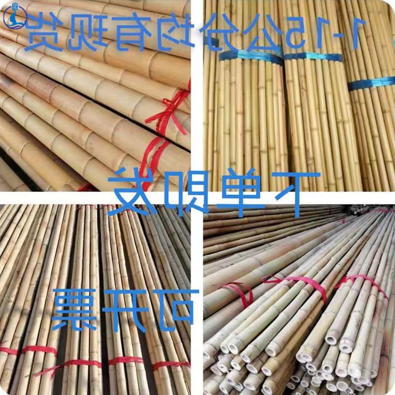 米竹竿配套美丽鱼竿竹竿阳台竹林毛竹商用细长搭建护栏晒衣竹竿-阿里巴巴