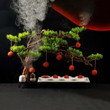 �W�t�Ƶ�ɱ���֦�r������Ц�;߄�����ʽ�ߙn���������⾳�˱P��