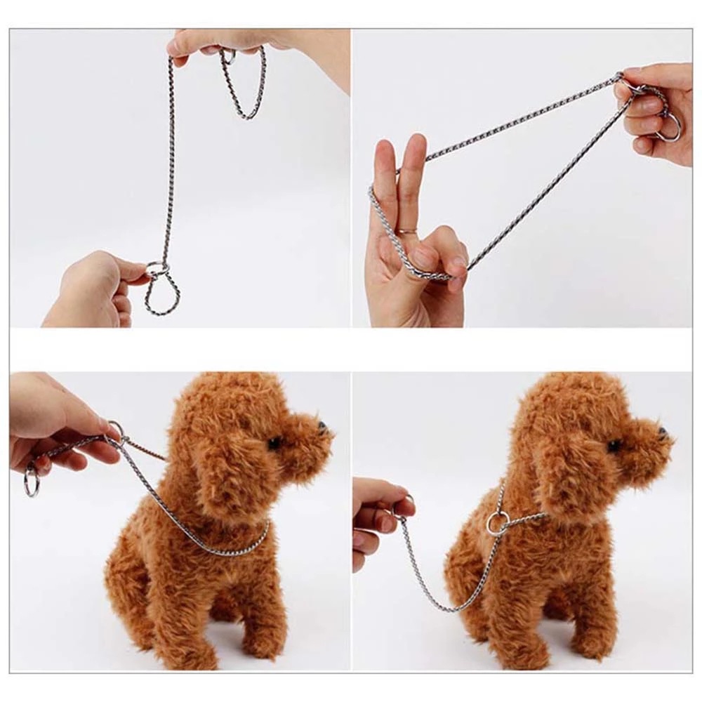 Dog Collar Image 6