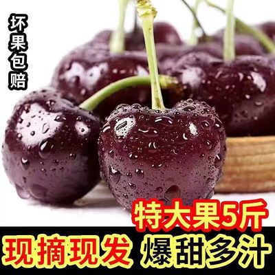 车厘子批发现摘山东大樱桃新鲜黑珍珠3美早5当季应季特大10整箱斤