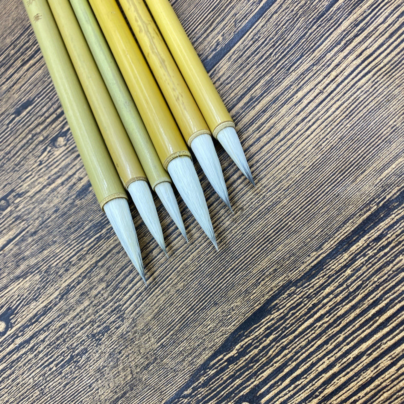 IMG_0425(20220323-151927)