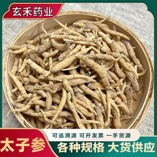 ��ș��̫�Ӆ����l�����Ƭ��̫�Ӆ��Ҝ��ɴ����������g����ă�