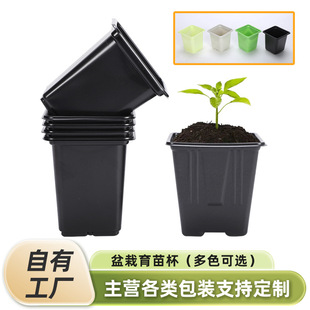 Multi-Color Optional Potted Seedling Cup Simple Batch Can Be Customized Safe Plastic Seedling Cup Factory Wholesale