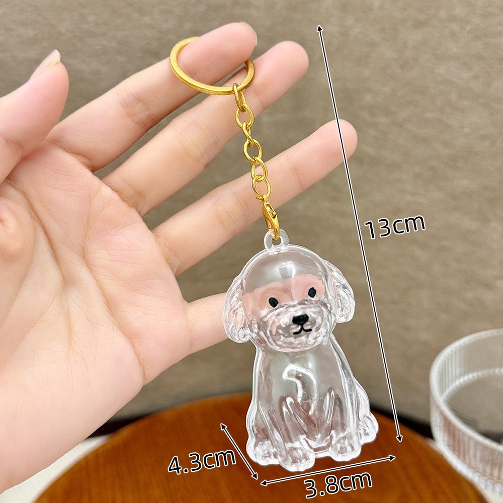 Cartoon Pet Storage Keychain Lovely Transparent Pet Memoria Keychain Pet Listing Keychain