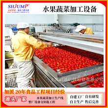 番茄汁饮料加工生产线 番茄原浆加工机械设备 番茄深加工设备厂