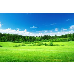 ��ƺ�ݵؘ��֘�ľ�{�����L��������Ӽ��b����N�ڒ쮋���L